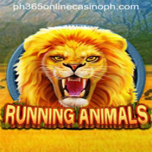 RunningAnimals Game Experience